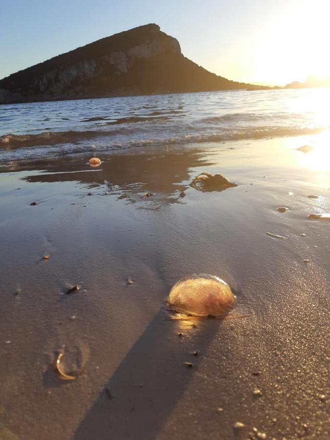 Camera Matrimoniale/Doppia con Letti Singoli con Bagno Privato Esterno