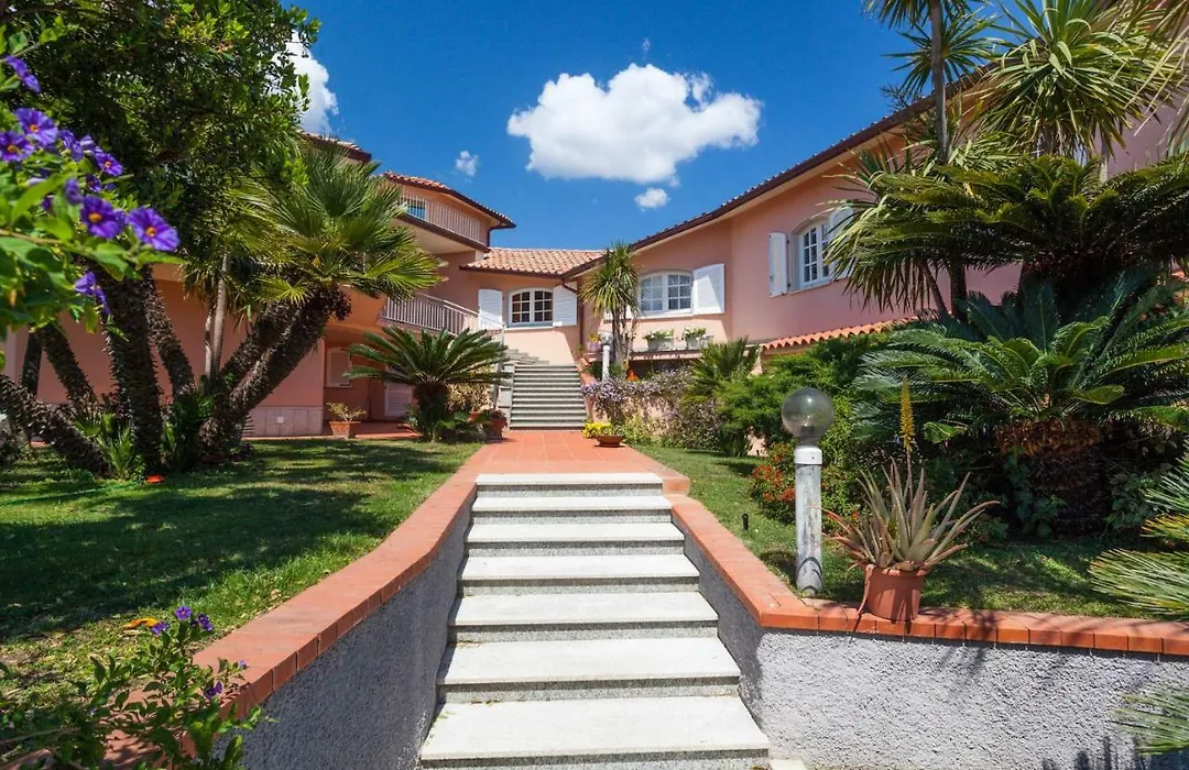 Tony Home-1