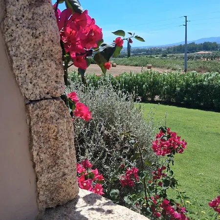 B&B Majore-2